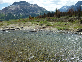 Filename=P1060947.JPG
Filesize=5821KiB
Dimensions=4320x3240
Date added=Sep 21, 2019 P1060947.JPG