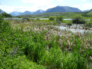 Filename=P1060948.JPG
Filesize=5757KiB
Dimensions=4320x3240
Date added=Sep 21, 2019 P1060948.JPG