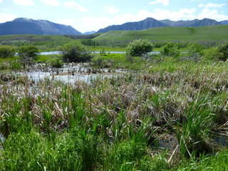 Filename=P1060949.JPG
Filesize=5578KiB
Dimensions=4320x3240
Date added=Sep 21, 2019 P1060949.JPG