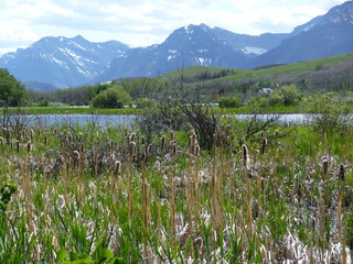 Filename=P1060951.JPG
Filesize=5566KiB
Dimensions=4320x3240
Date added=Sep 21, 2019 P1060951.JPG