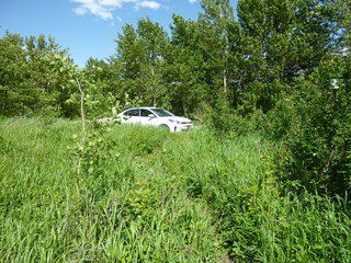 Filename=P1060952.JPG
Filesize=5742KiB
Dimensions=4320x3240
Date added=Sep 21, 2019 P1060952.JPG