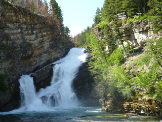 Filename=P1060961.JPG
Filesize=5789KiB
Dimensions=4320x3240
Date added=Sep 21, 2019 P1060961.JPG