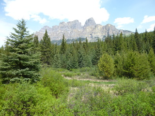 Filename=P1060992.JPG
Filesize=5616KiB
Dimensions=4320x3240
Date added=Sep 21, 2019 P1060992.JPG