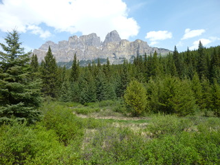 Filename=P1060993.JPG
Filesize=5380KiB
Dimensions=4320x3240
Date added=Sep 21, 2019 P1060993.JPG