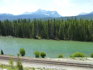 Filename=P1060995.JPG
Filesize=6145KiB
Dimensions=4320x3240
Date added=Sep 21, 2019 P1060995.JPG