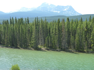 Filename=P1060996.JPG
Filesize=5920KiB
Dimensions=4320x3240
Date added=Sep 21, 2019 P1060996.JPG