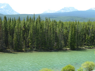 Filename=P1060997.JPG
Filesize=5982KiB
Dimensions=4320x3240
Date added=Sep 21, 2019 P1060997.JPG