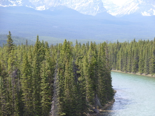 Filename=P1070001.JPG
Filesize=5770KiB
Dimensions=4320x3240
Date added=Sep 21, 2019 P1070001.JPG