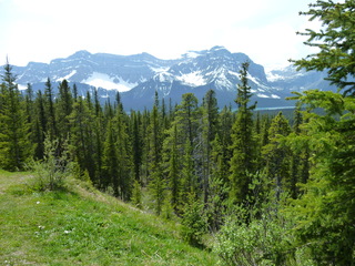 Filename=P1070006.JPG
Filesize=5776KiB
Dimensions=4320x3240
Date added=Sep 21, 2019 P1070006.JPG