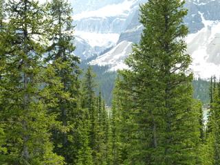 Filename=P1070014.JPG
Filesize=6039KiB
Dimensions=4320x3240
Date added=Sep 21, 2019 P1070014.JPG