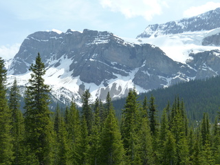 Filename=P1070016.JPG
Filesize=5606KiB
Dimensions=4320x3240
Date added=Sep 21, 2019 P1070016.JPG