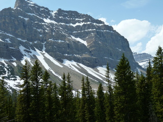 Filename=P1070019.JPG
Filesize=5607KiB
Dimensions=4320x3240
Date added=Sep 21, 2019 P1070019.JPG