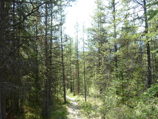 Filename=P1070030.JPG
Filesize=5933KiB
Dimensions=4320x3240
Date added=Sep 21, 2019 P1070030.JPG