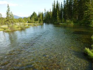 Filename=P1070036.JPG
Filesize=5681KiB
Dimensions=4320x3240
Date added=Sep 21, 2019 P1070036.JPG