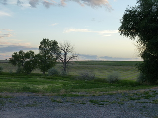 Filename=P1070777.JPG
Filesize=5535KiB
Dimensions=4320x3240
Date added=Sep 22, 2019 P1070777.JPG