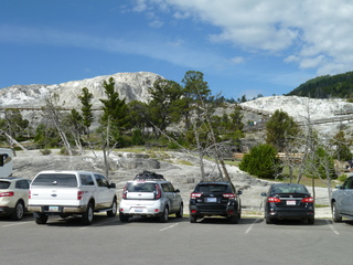 Filename=P1070781.JPG
Filesize=5476KiB
Dimensions=4320x3240
Date added=Sep 22, 2019 P1070781.JPG