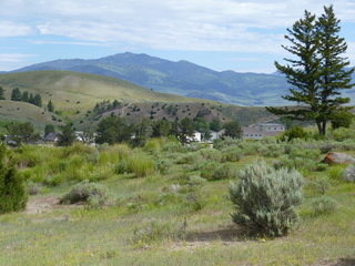 Filename=P1070783.JPG
Filesize=5745KiB
Dimensions=4320x3240
Date added=Sep 22, 2019 P1070783.JPG