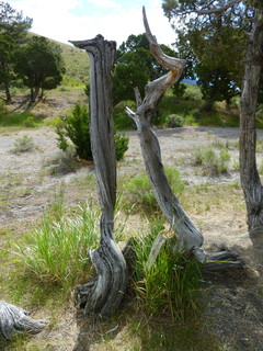 Filename=P1070784.JPG
Filesize=4696KiB
Dimensions=3240x4320
Date added=Sep 22, 2019 P1070784.JPG