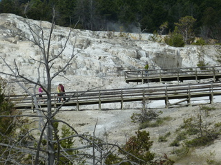 Filename=P1070787.JPG
Filesize=5962KiB
Dimensions=4320x3240
Date added=Sep 22, 2019 P1070787.JPG