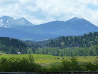 Filename=P1070799.JPG
Filesize=5635KiB
Dimensions=4320x3240
Date added=Sep 22, 2019 P1070799.JPG