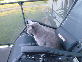 Filename=P1070802.JPG
Filesize=5566KiB
Dimensions=4320x3240
Date added=Sep 22, 2019 P1070802.JPG