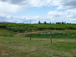 Filename=P1070805.JPG
Filesize=5697KiB
Dimensions=4320x3240
Date added=Sep 22, 2019 P1070805.JPG