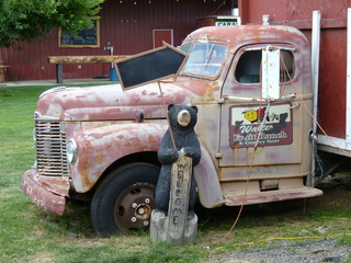 Filename=P1070806.JPG
Filesize=5540KiB
Dimensions=4320x3240
Date added=Sep 22, 2019 P1070806.JPG