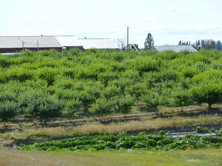 Filename=P1070810.JPG
Filesize=5988KiB
Dimensions=4320x3240
Date added=Sep 22, 2019 P1070810.JPG