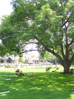 Filename=100_3671.JPG
Filesize=2553KiB
Dimensions=2128x2832
Date added=Sep 22, 2019 100_3671.JPG