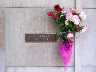 Filename=100_3673.JPG
Filesize=1314KiB
Dimensions=2832x2128
Date added=Sep 22, 2019 100_3673.JPG