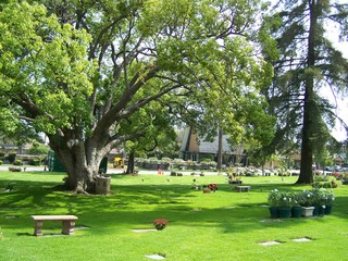 Filename=100_3675.JPG
Filesize=2852KiB
Dimensions=2832x2128
Date added=Sep 22, 2019 100_3675.JPG