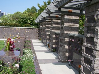 Filename=100_3682.JPG
Filesize=1956KiB
Dimensions=2832x2128
Date added=Sep 22, 2019 100_3682.JPG