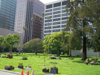 Filename=100_3686.JPG
Filesize=2066KiB
Dimensions=2832x2128
Date added=Sep 22, 2019 100_3686.JPG