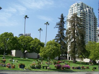 Filename=100_3695.JPG
Filesize=1723KiB
Dimensions=2832x2128
Date added=Sep 22, 2019 100_3695.JPG