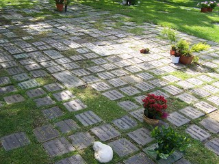 Filename=100_3696.JPG
Filesize=2588KiB
Dimensions=2832x2128
Date added=Sep 22, 2019 100_3696.JPG