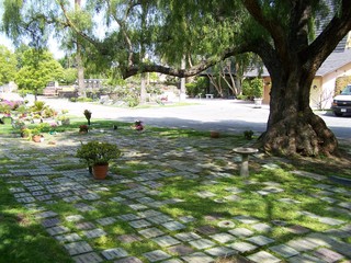 Filename=100_3698.JPG
Filesize=2427KiB
Dimensions=2832x2128
Date added=Sep 22, 2019 100_3698.JPG