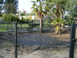 Filename=100_3744.JPG
Filesize=2859KiB
Dimensions=2832x2128
Date added=Sep 22, 2019 100_3744.JPG