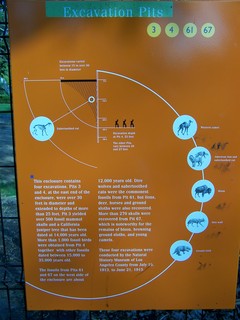 Filename=100_3747.JPG
Filesize=1196KiB
Dimensions=2128x2832
Date added=Sep 22, 2019 100_3747.JPG