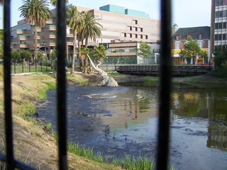 Filename=100_3756.JPG
Filesize=1718KiB
Dimensions=2832x2128
Date added=Sep 22, 2019 100_3756.JPG