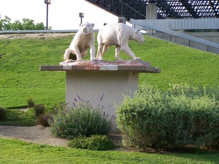 Filename=100_3760.JPG
Filesize=2096KiB
Dimensions=2832x2128
Date added=Sep 22, 2019 100_3760.JPG