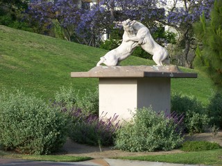 Filename=100_3762.JPG
Filesize=2155KiB
Dimensions=2832x2128
Date added=Sep 22, 2019 100_3762.JPG