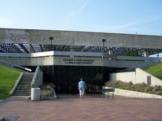 Filename=100_3764.JPG
Filesize=1206KiB
Dimensions=2832x2128
Date added=Sep 22, 2019 100_3764.JPG