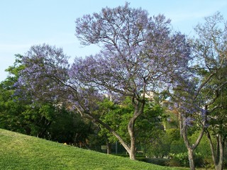 Filename=100_3766.JPG
Filesize=2457KiB
Dimensions=2832x2128
Date added=Sep 22, 2019 100_3766.JPG