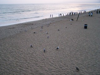 Filename=100_3775.JPG
Filesize=1705KiB
Dimensions=2832x2128
Date added=Sep 22, 2019 100_3775.JPG