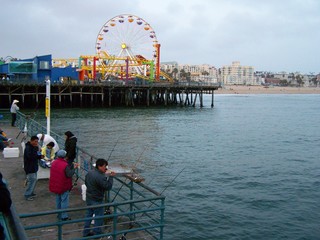 Filename=100_3798.JPG
Filesize=1726KiB
Dimensions=2832x2128
Date added=Sep 22, 2019 100_3798.JPG