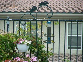 Filename=100_3817.JPG
Filesize=1805KiB
Dimensions=2832x2128
Date added=Sep 22, 2019 100_3817.JPG