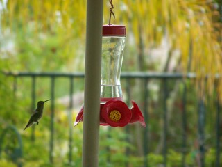 Filename=100_3820.JPG
Filesize=1508KiB
Dimensions=2832x2128
Date added=Sep 22, 2019 100_3820.JPG