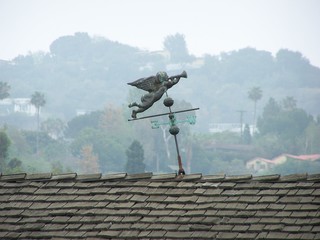 Filename=100_3824.JPG
Filesize=820KiB
Dimensions=2832x2128
Date added=Sep 22, 2019 100_3824.JPG