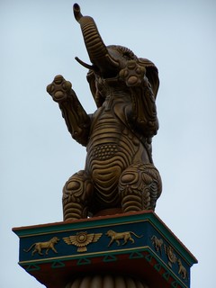 Filename=100_4028.JPG
Filesize=593KiB
Dimensions=2128x2832
Date added=Sep 22, 2019 100_4028.JPG