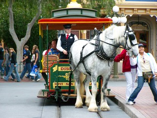 Filename=100_4052.JPG
Filesize=1733KiB
Dimensions=2832x2128
Date added=Sep 22, 2019 100_4052.JPG